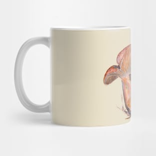 Lactarius deliciosus Mug